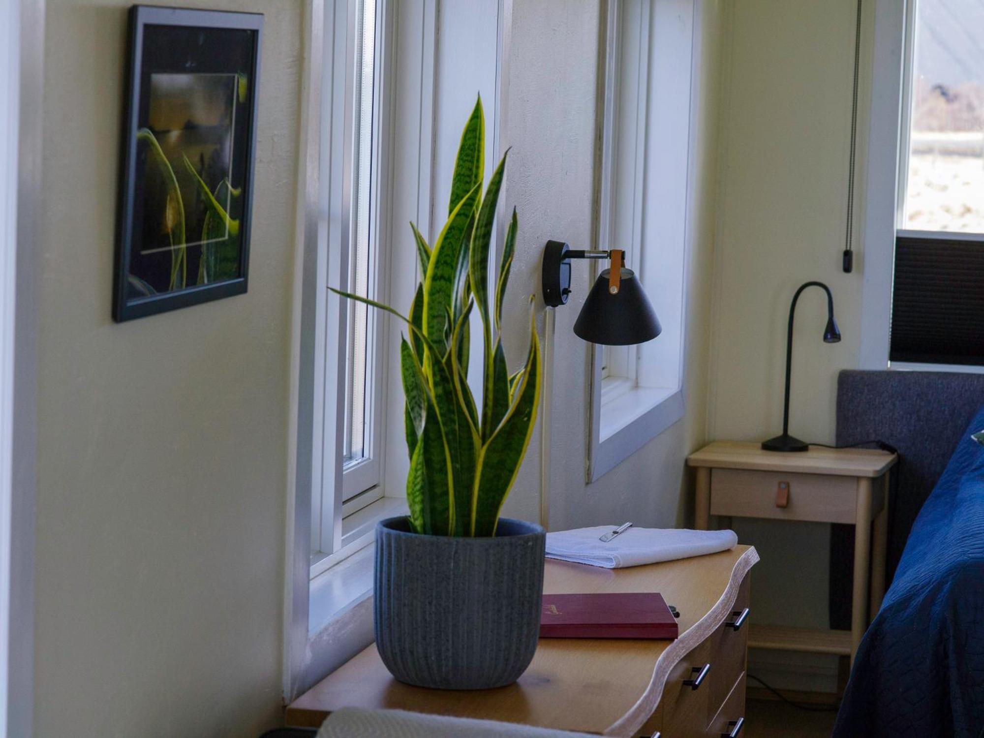 Reykjahlíð Myvo The Studio Apartment At Geiteyjarstroend 4 מראה חיצוני תמונה
